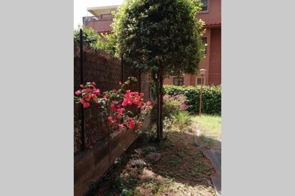 La Casa Della Mia Famiglia Apartment Rome Exterior photo